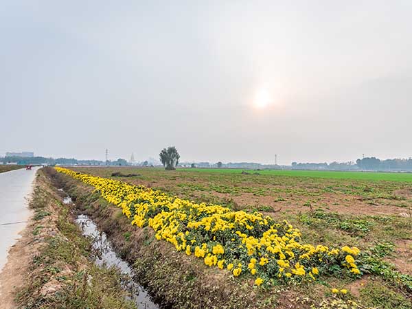 華苑觀光農(nóng)場
