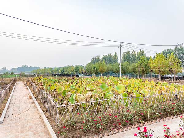 華苑觀光農(nóng)場