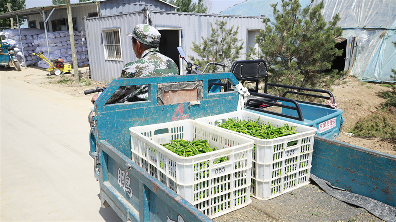 現(xiàn)代農業(yè)