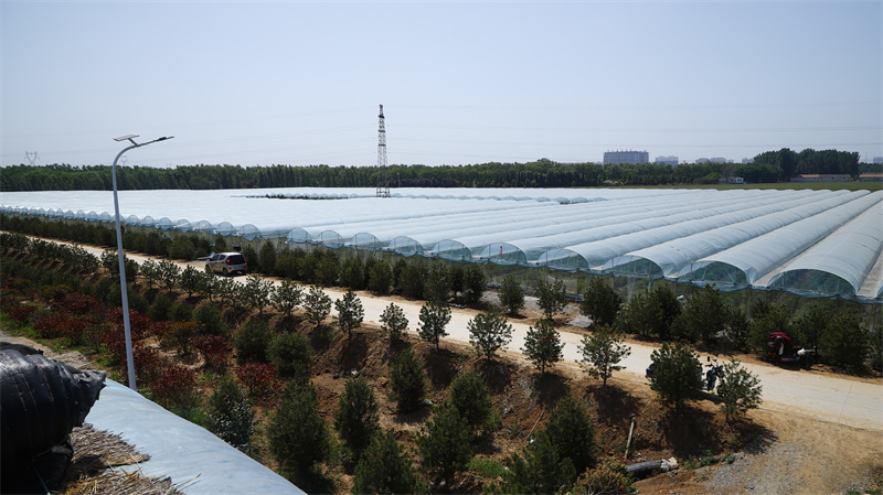 現(xiàn)代農業(yè)