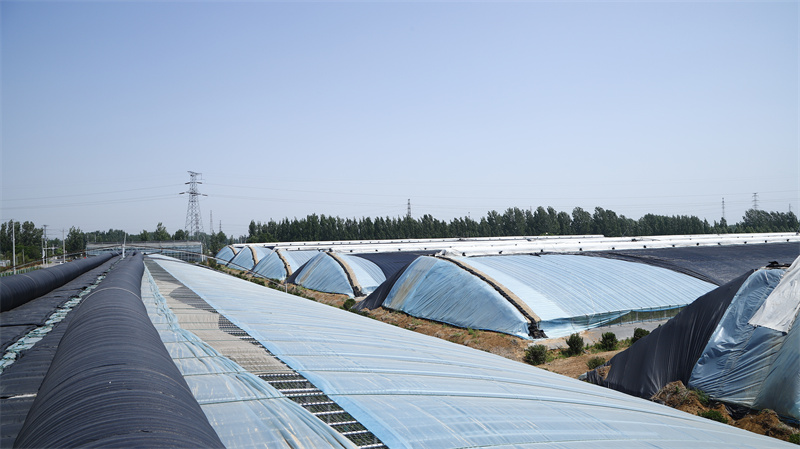 現(xiàn)代農業(yè)