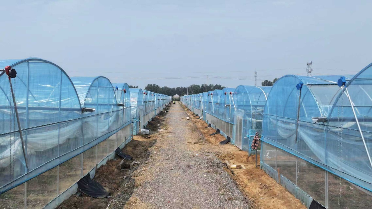 華翔農(nóng)場大棚群