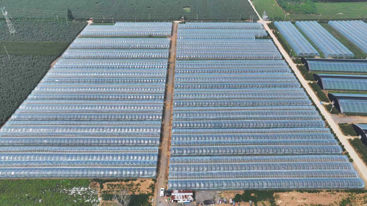 華翔農(nóng)場周邊航拍