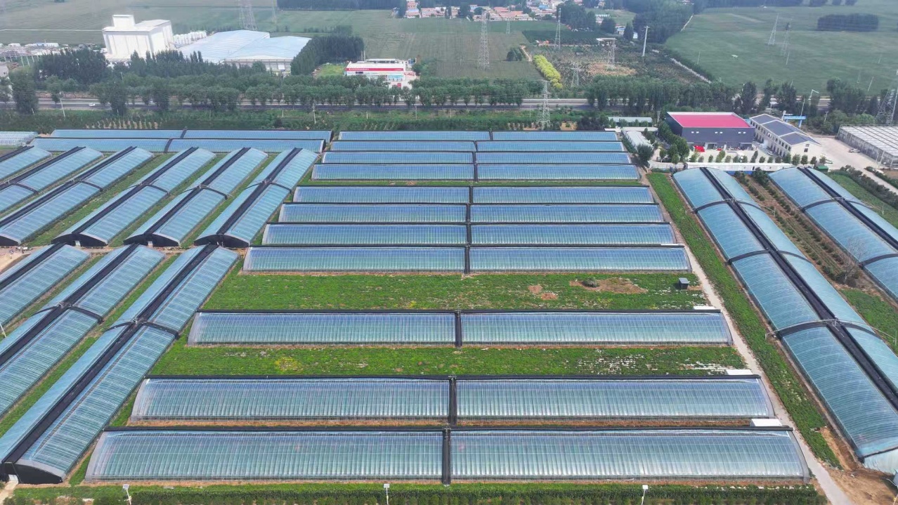 華翔農(nóng)場大棚區(qū)航拍